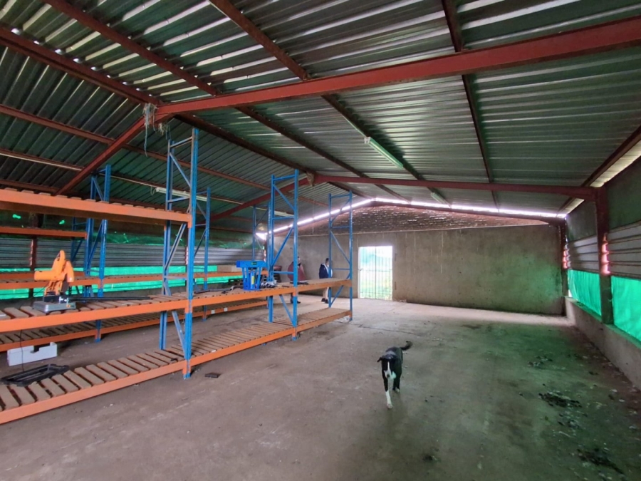 Commercial Property for Sale in Bloemdal Free State